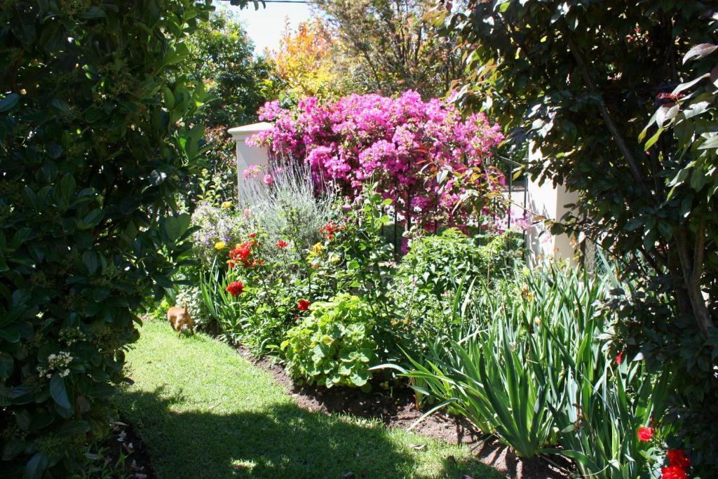 Somerset Lodge Montagu Εξωτερικό φωτογραφία